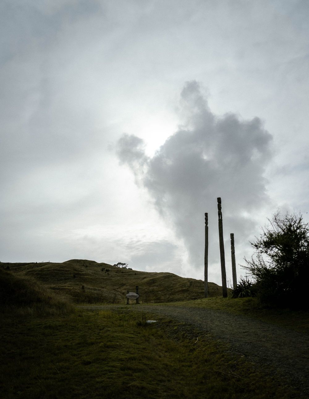 Pouwhenua at Ōtātara Pā post image