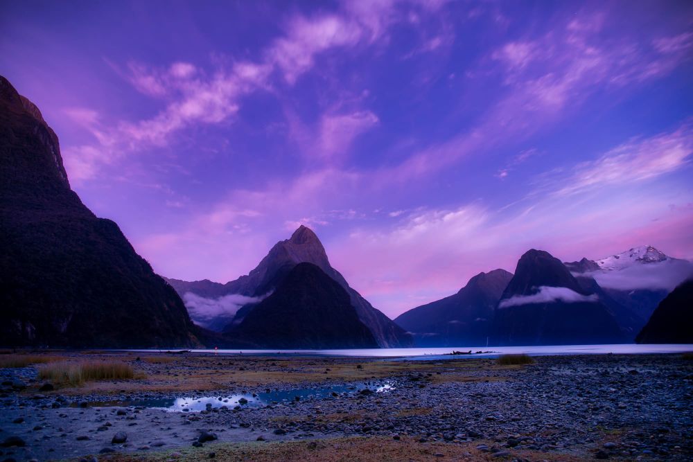 Purple sounds post image