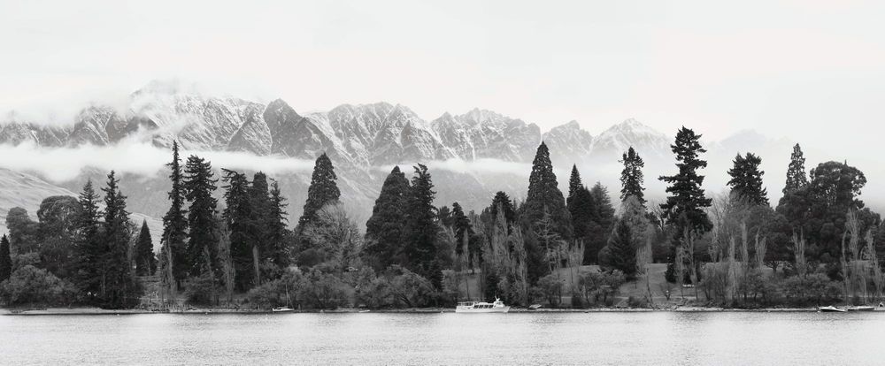 Queenstown trees post image