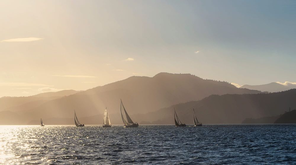 Race night post image