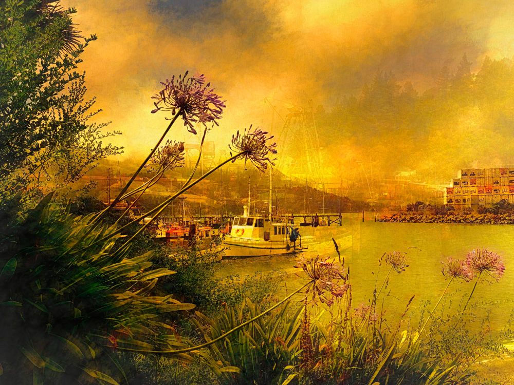 Sawyers Bay post image