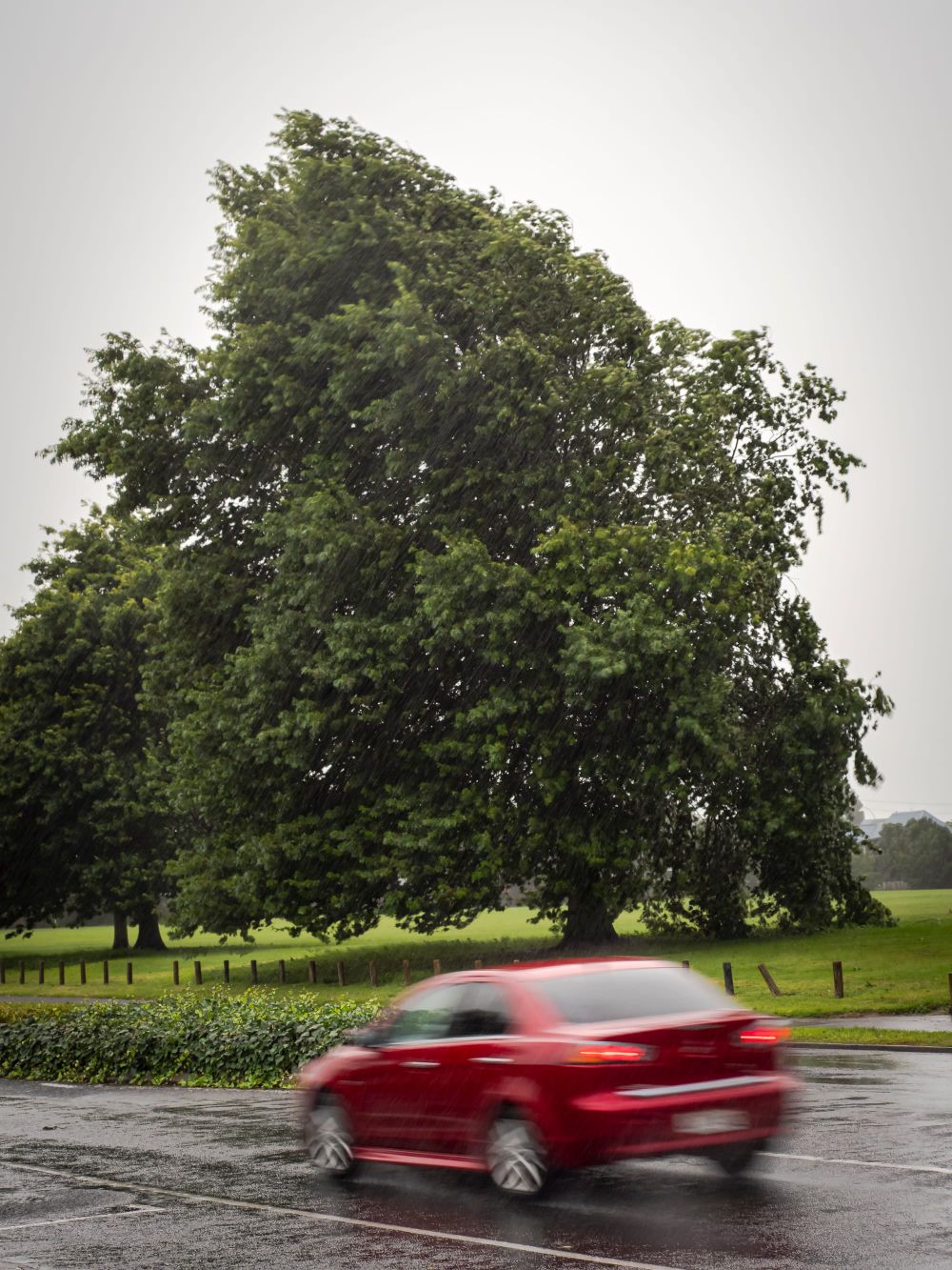 Storm weather post image