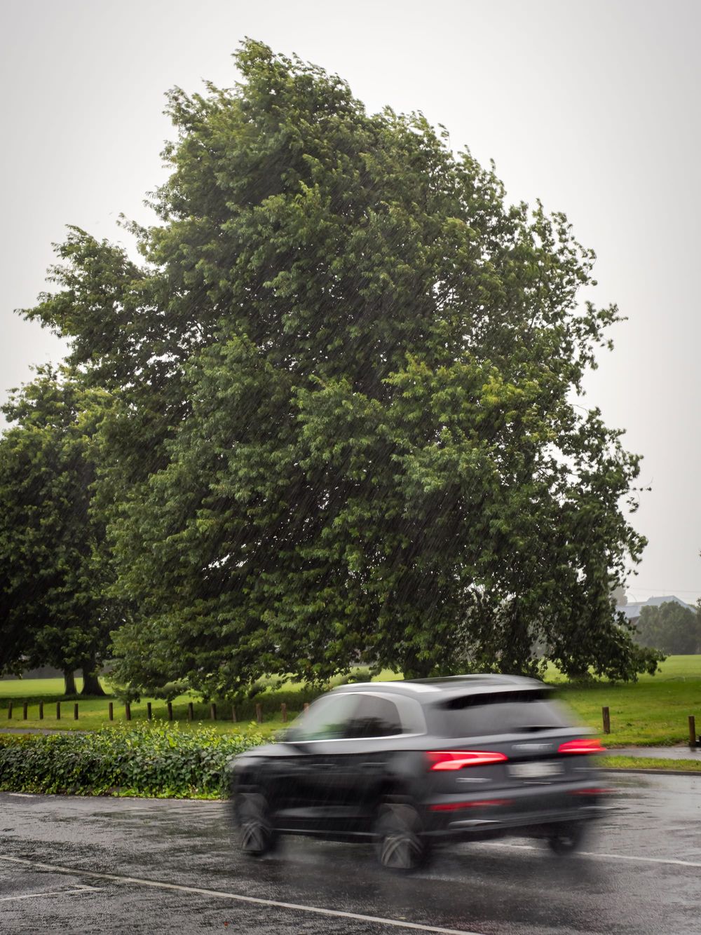 Storm weather post image