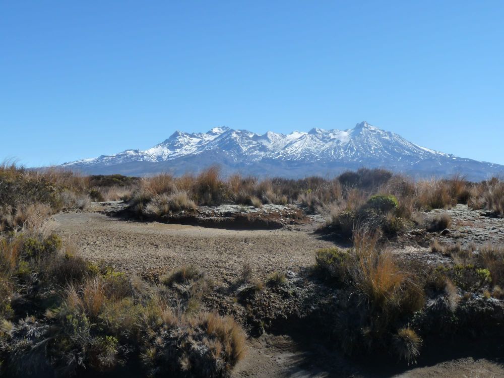 Natural growth post image