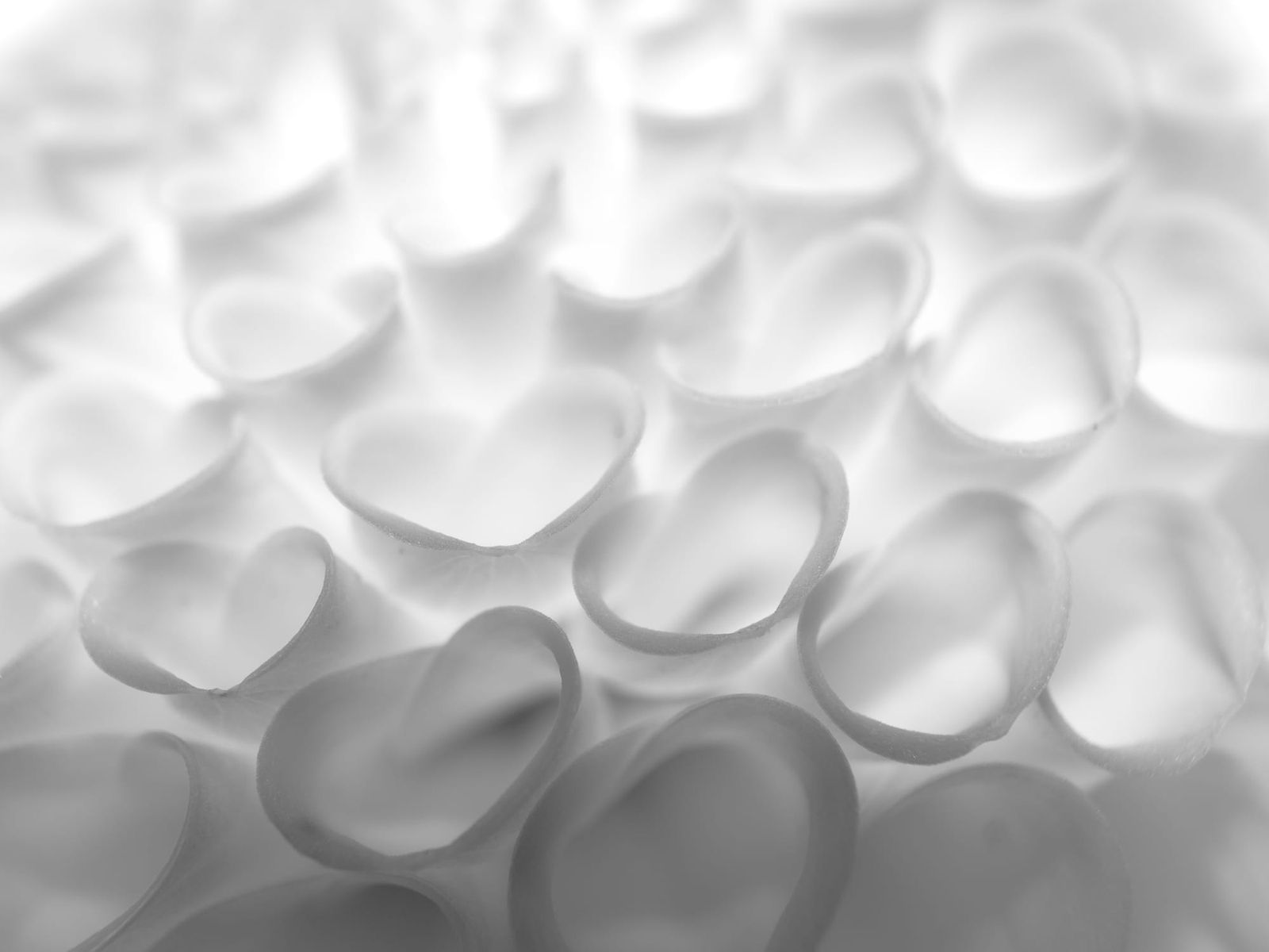 B&W page feature image