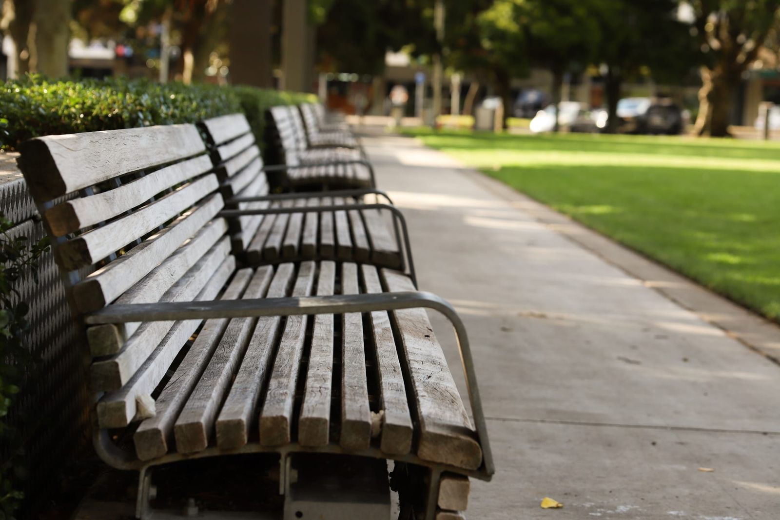 An empty bench in the park