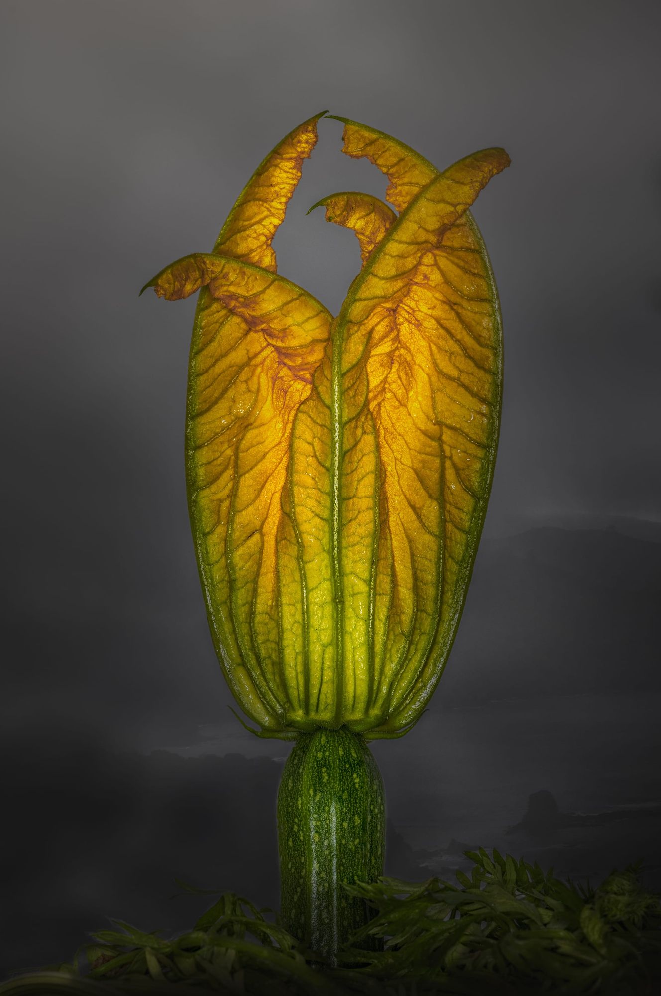 Vegetables page feature image