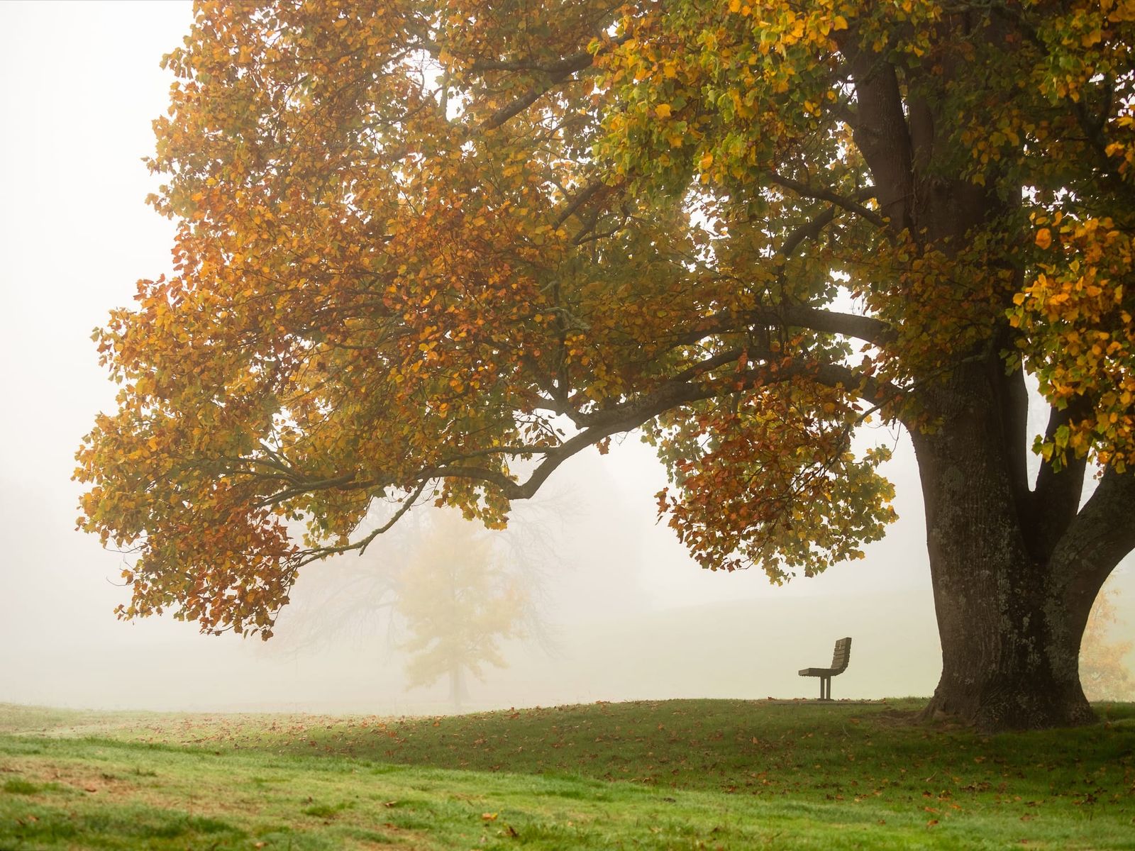 Places page feature image