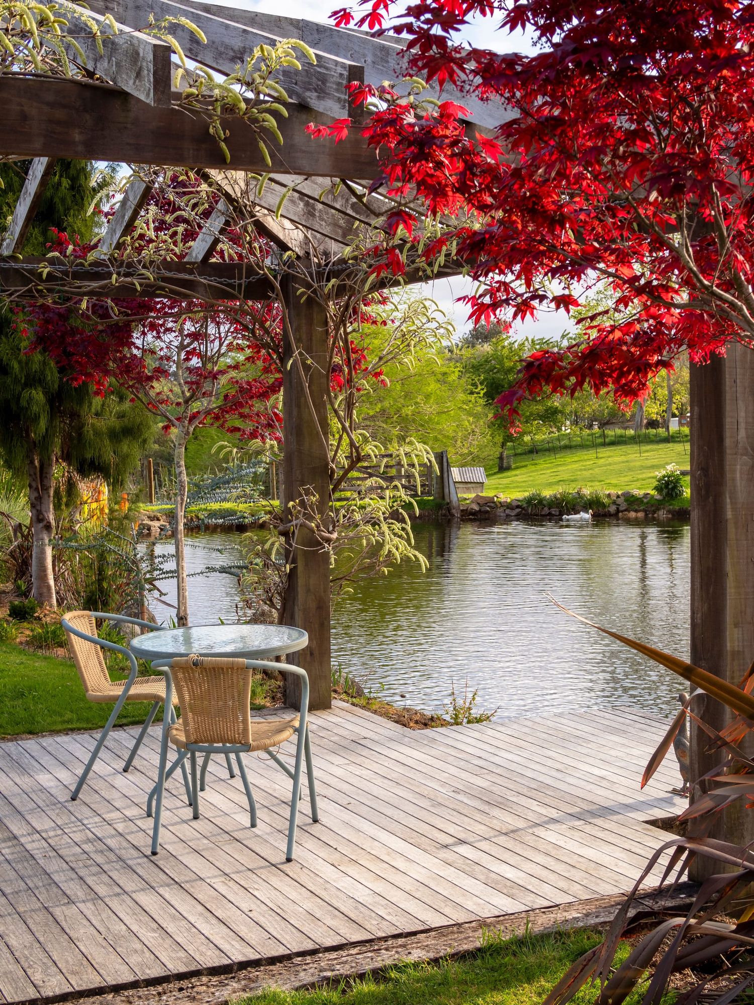 Fresh garden flowers pond pergola
