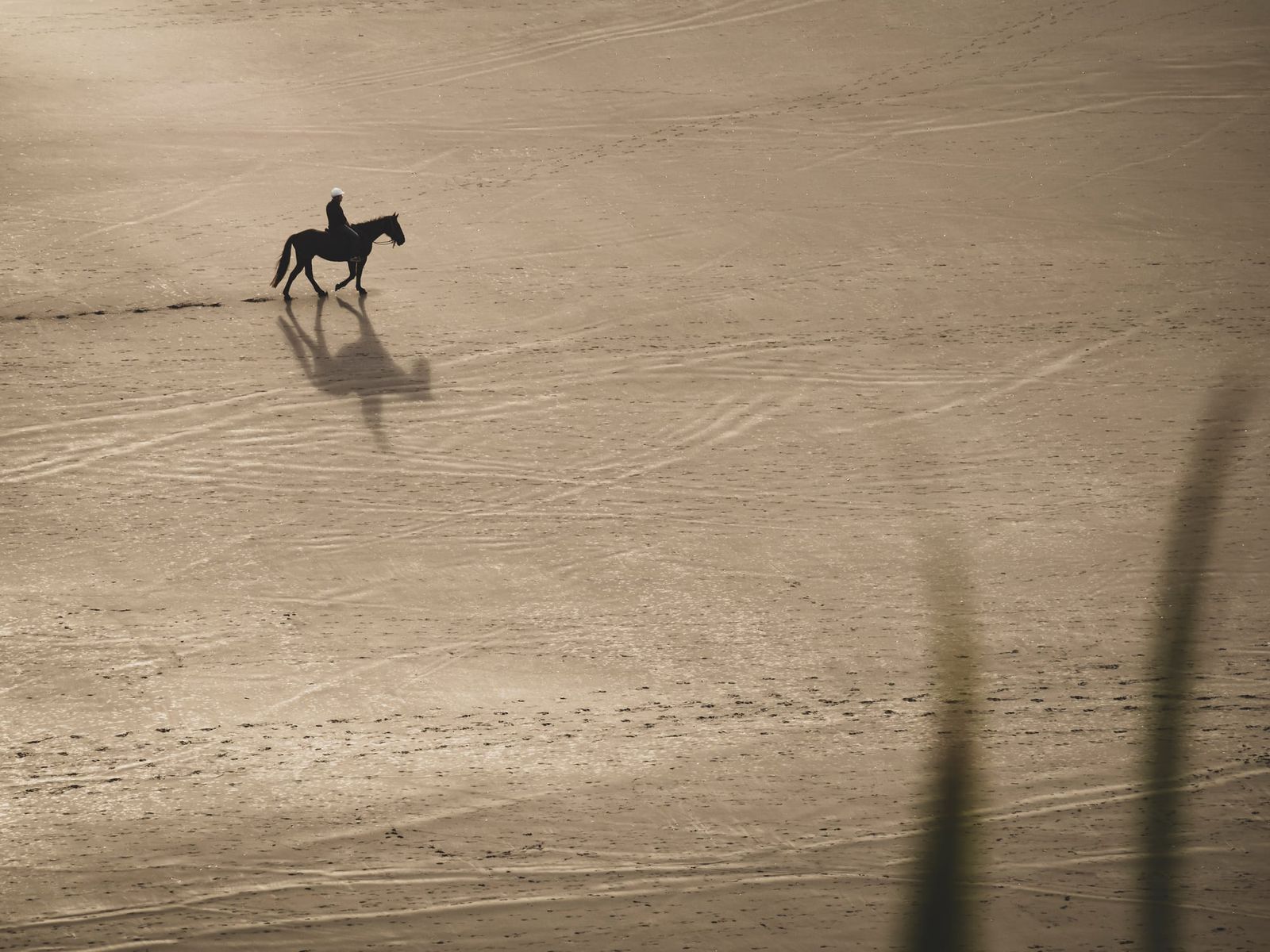 Lonely horse rider on Raglan beach