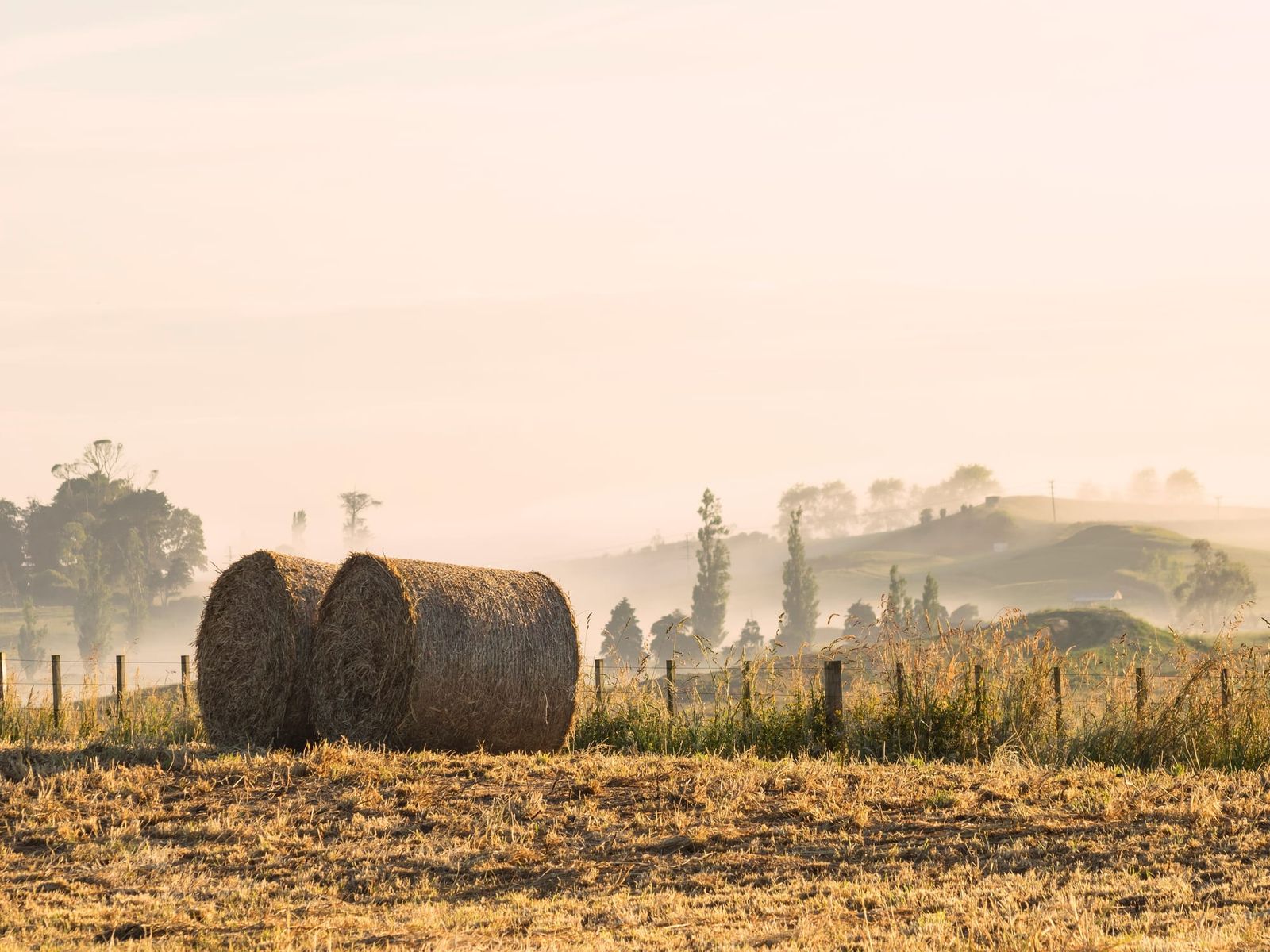 Round hay bails field
