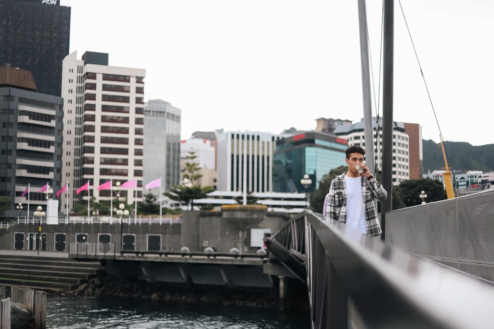 Exploring Wellington