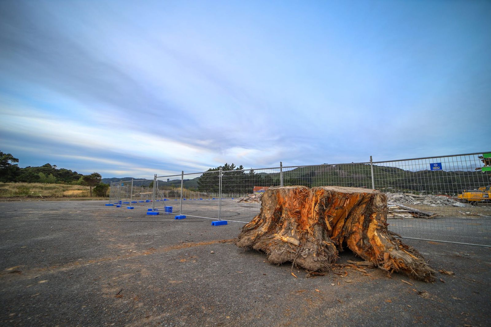 Tree stump at construction site