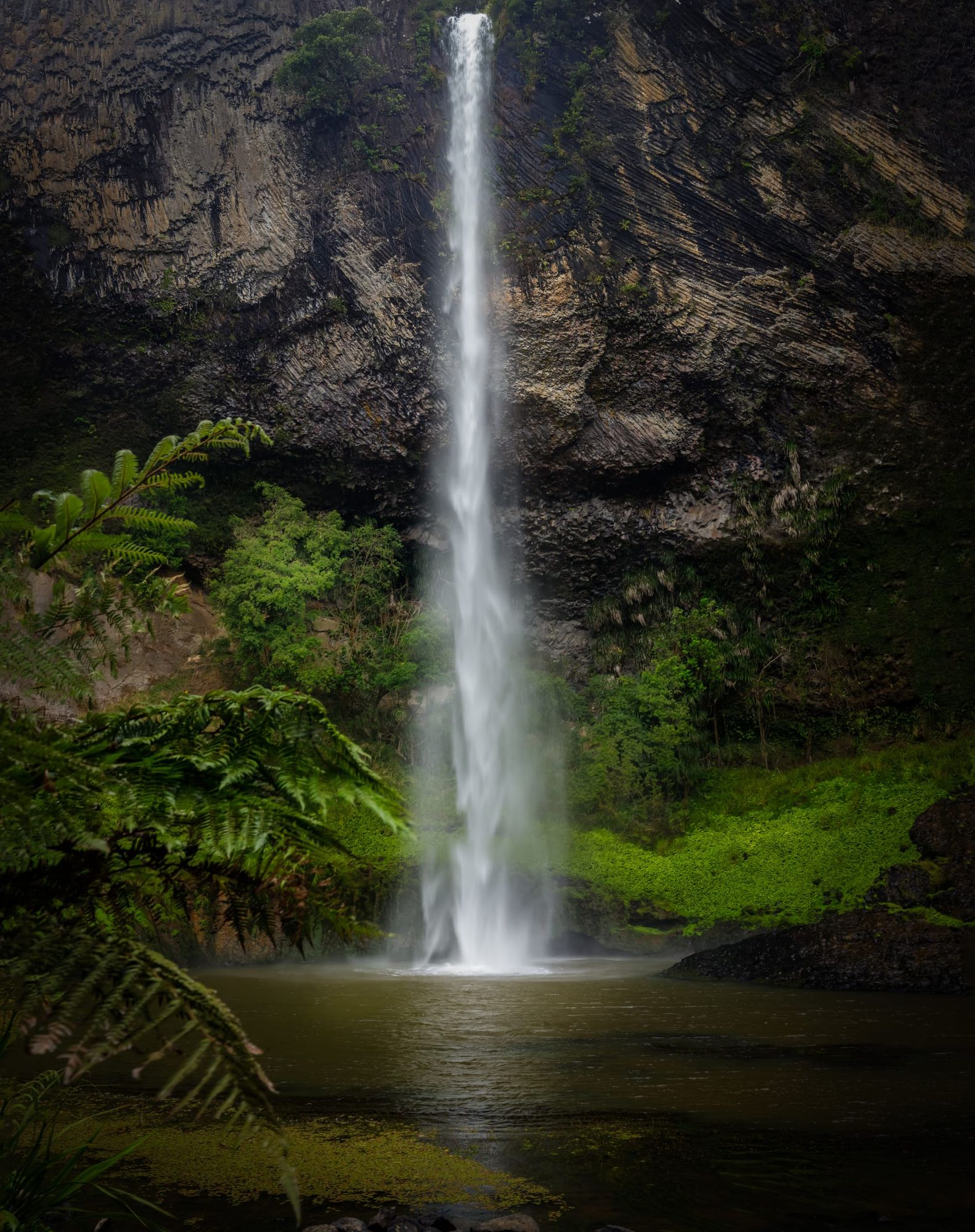 Bridal Veil falls, Waikato NZ