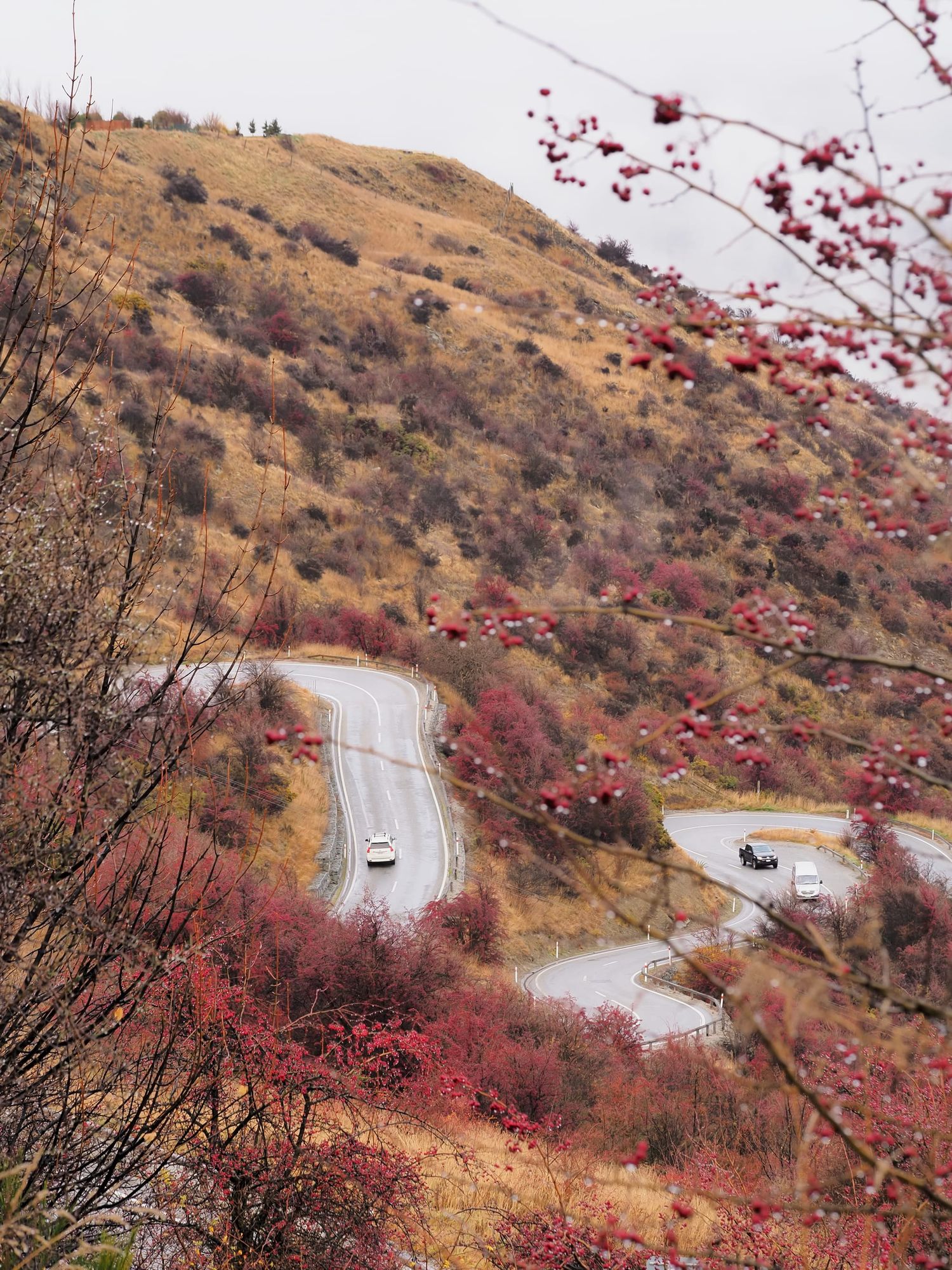 Crown Range road, Otago
