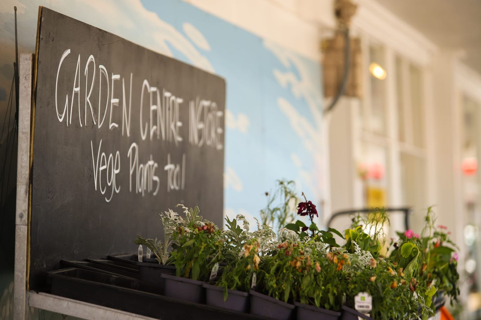 Garden centre notice, Foxton