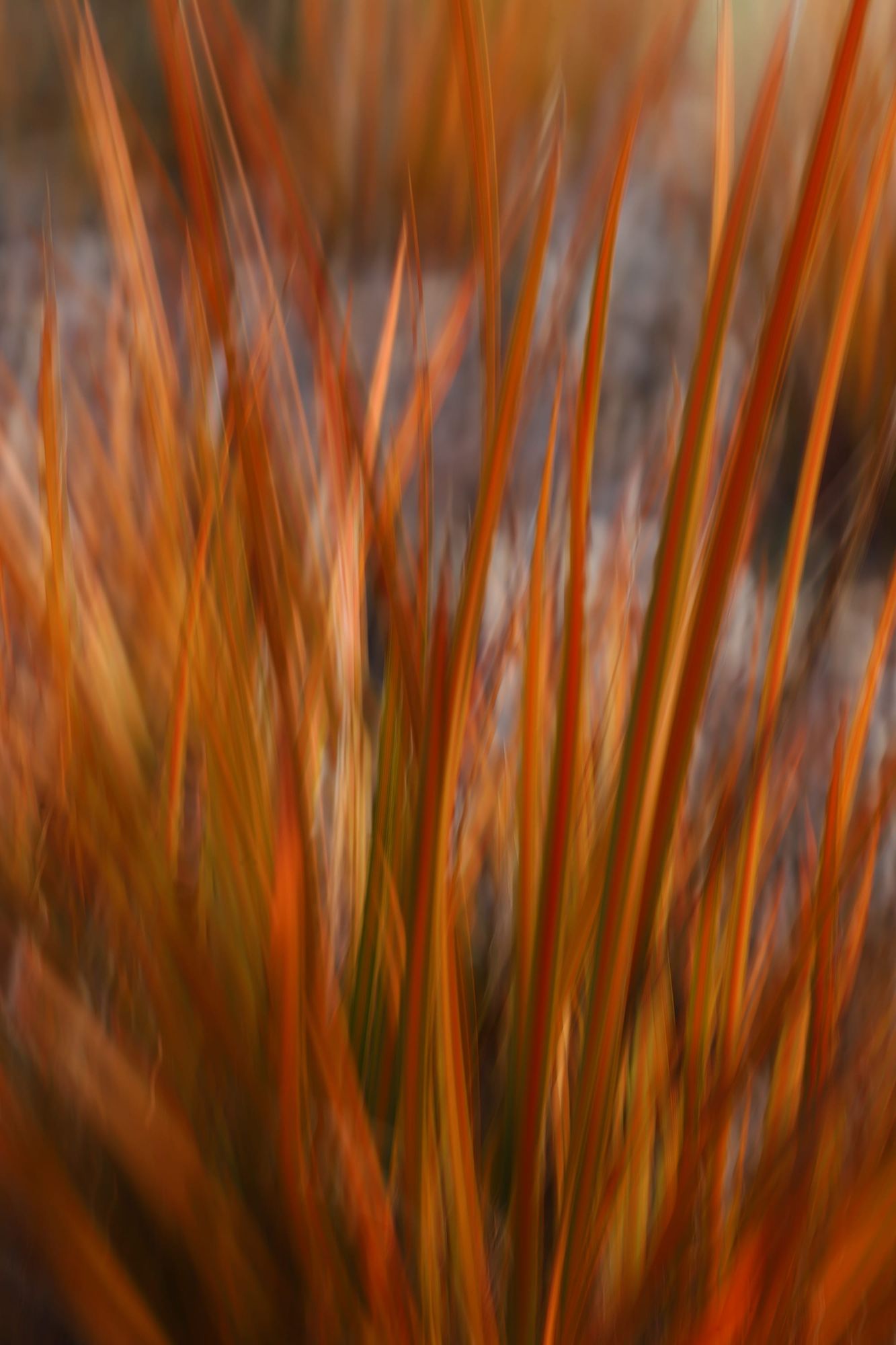 Grass motion