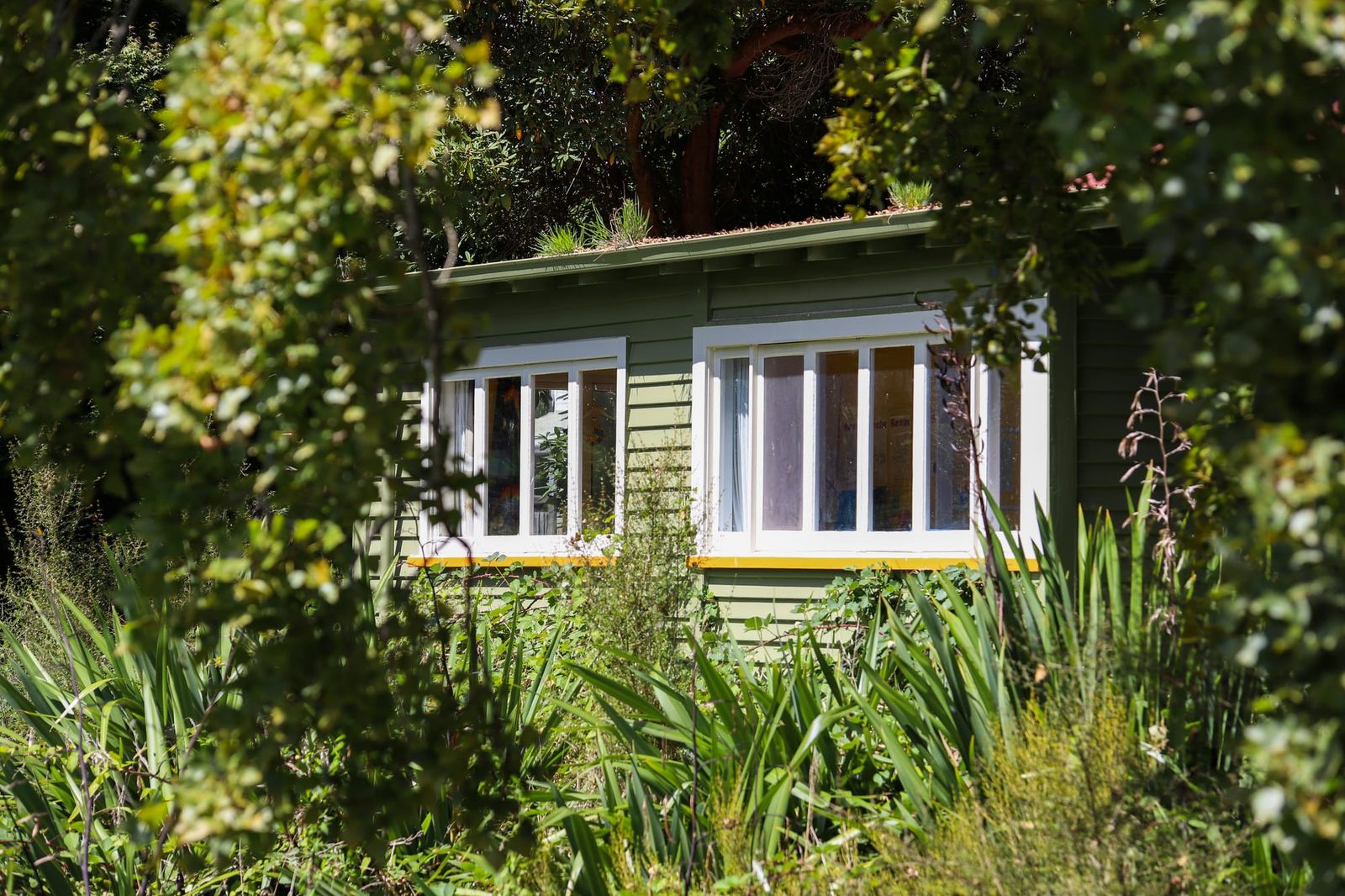 Green house in an overgrown garden