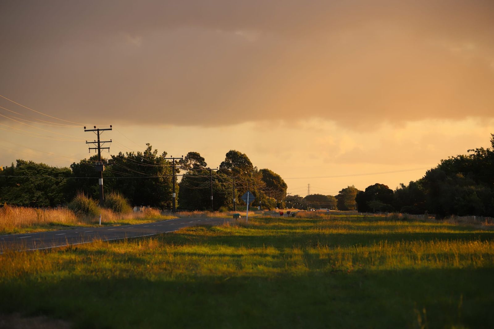 Rural road at golden hour
