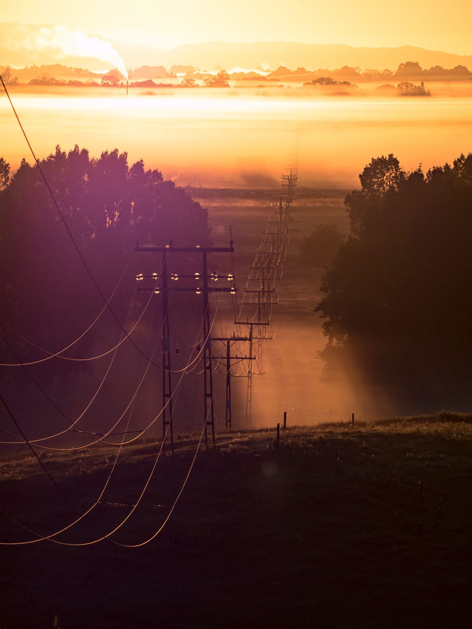 Rural view fog golden light powerlines