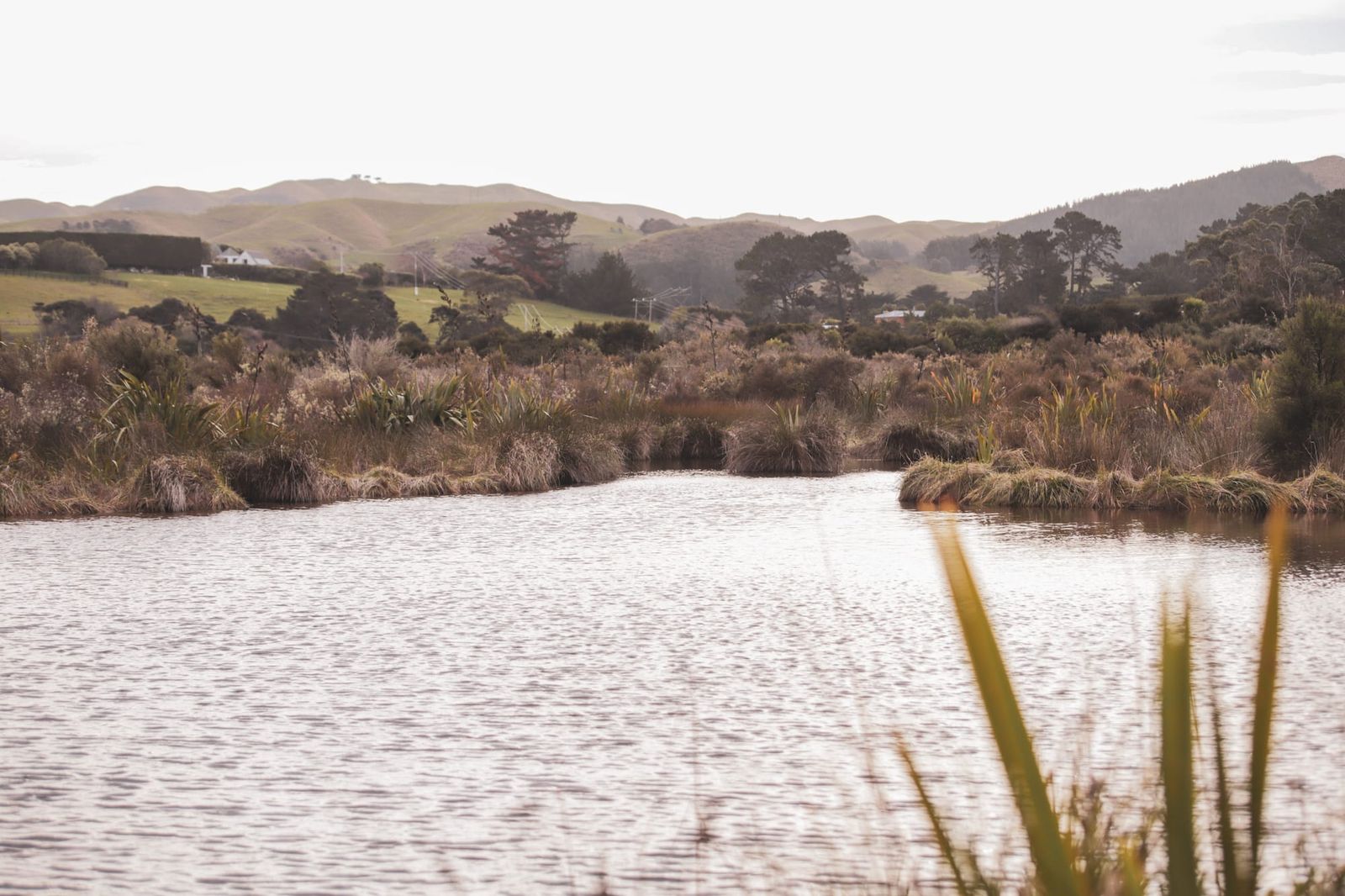 Stream through the marsh