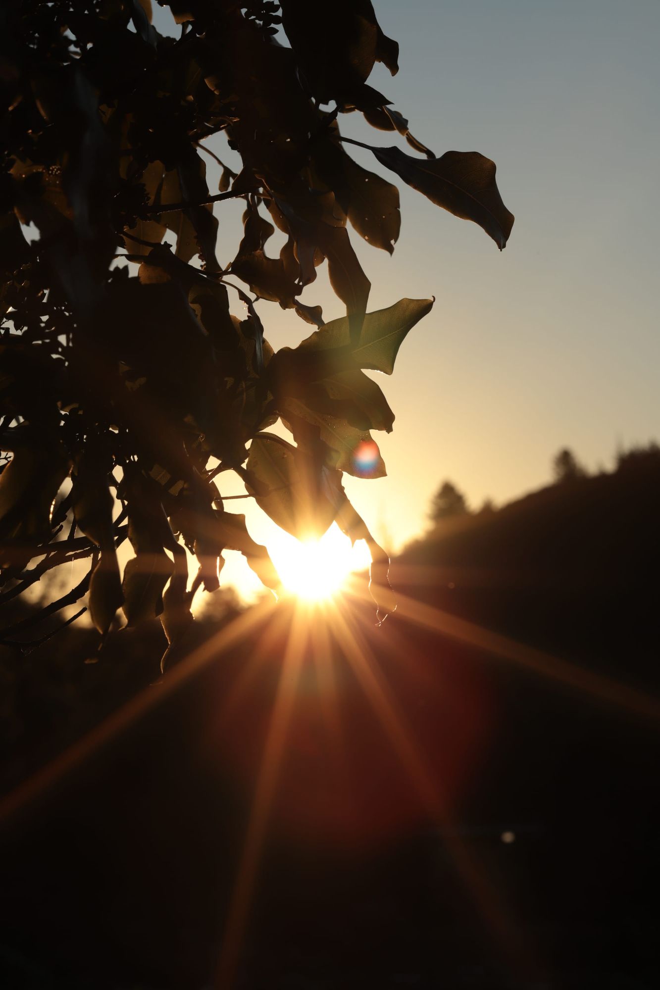 Sunset and sky gradient
