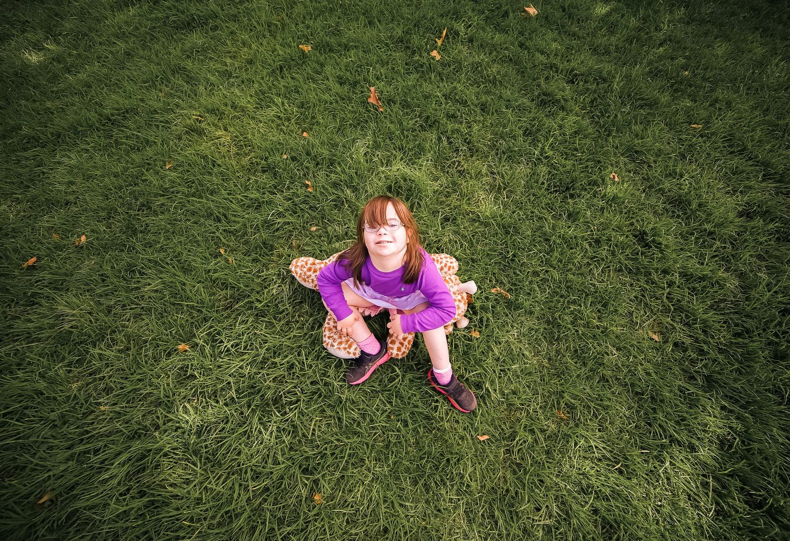 Top view and toy giraffe