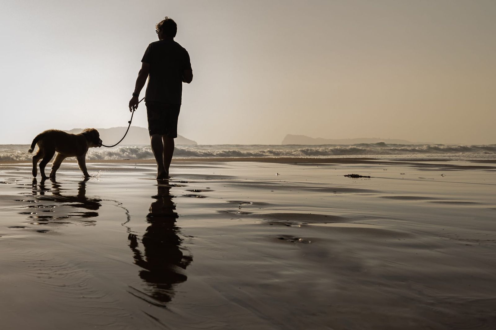 Walking with the dog along the ocean shore