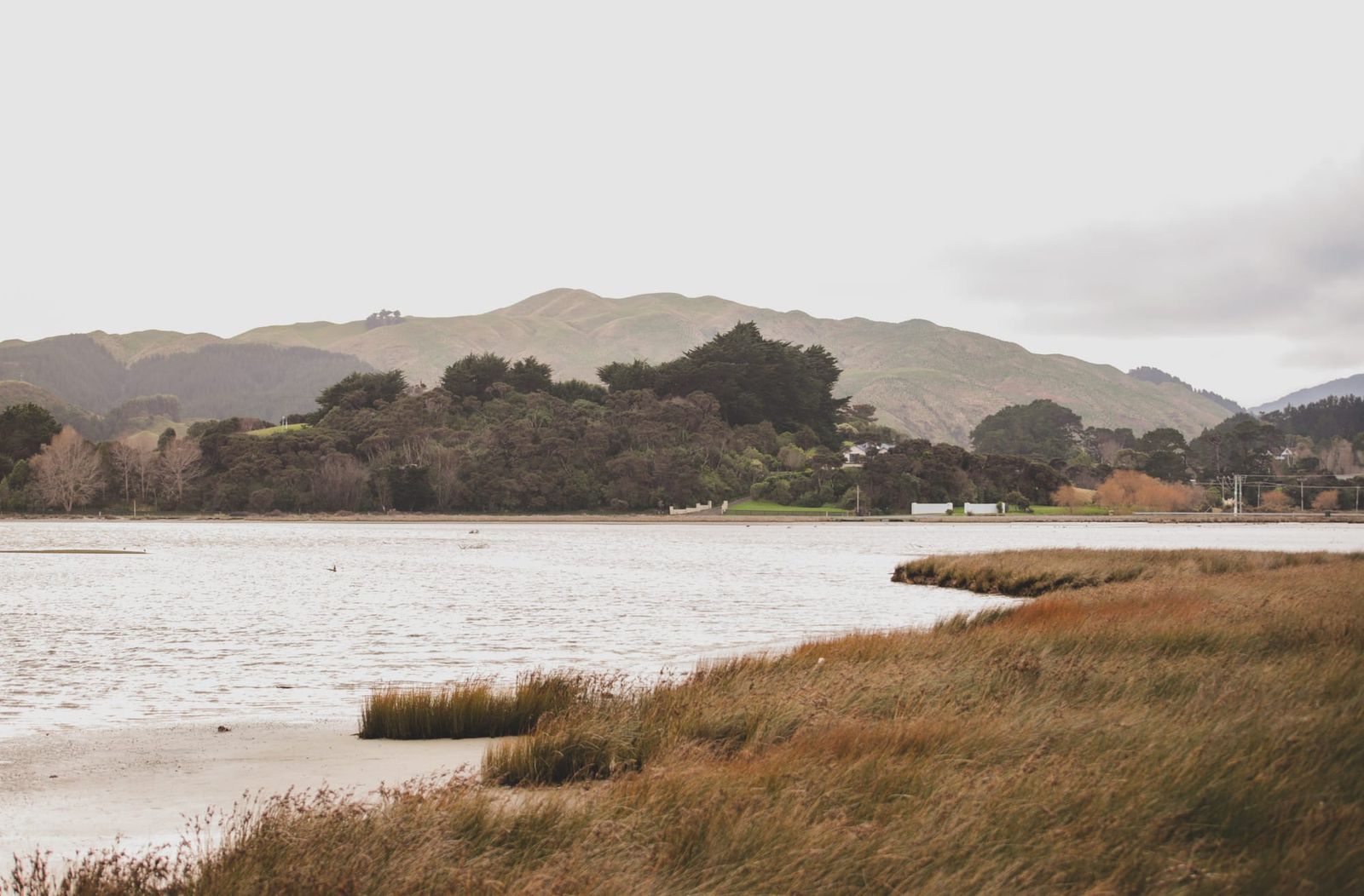 Water, grasses, and hillside calm
