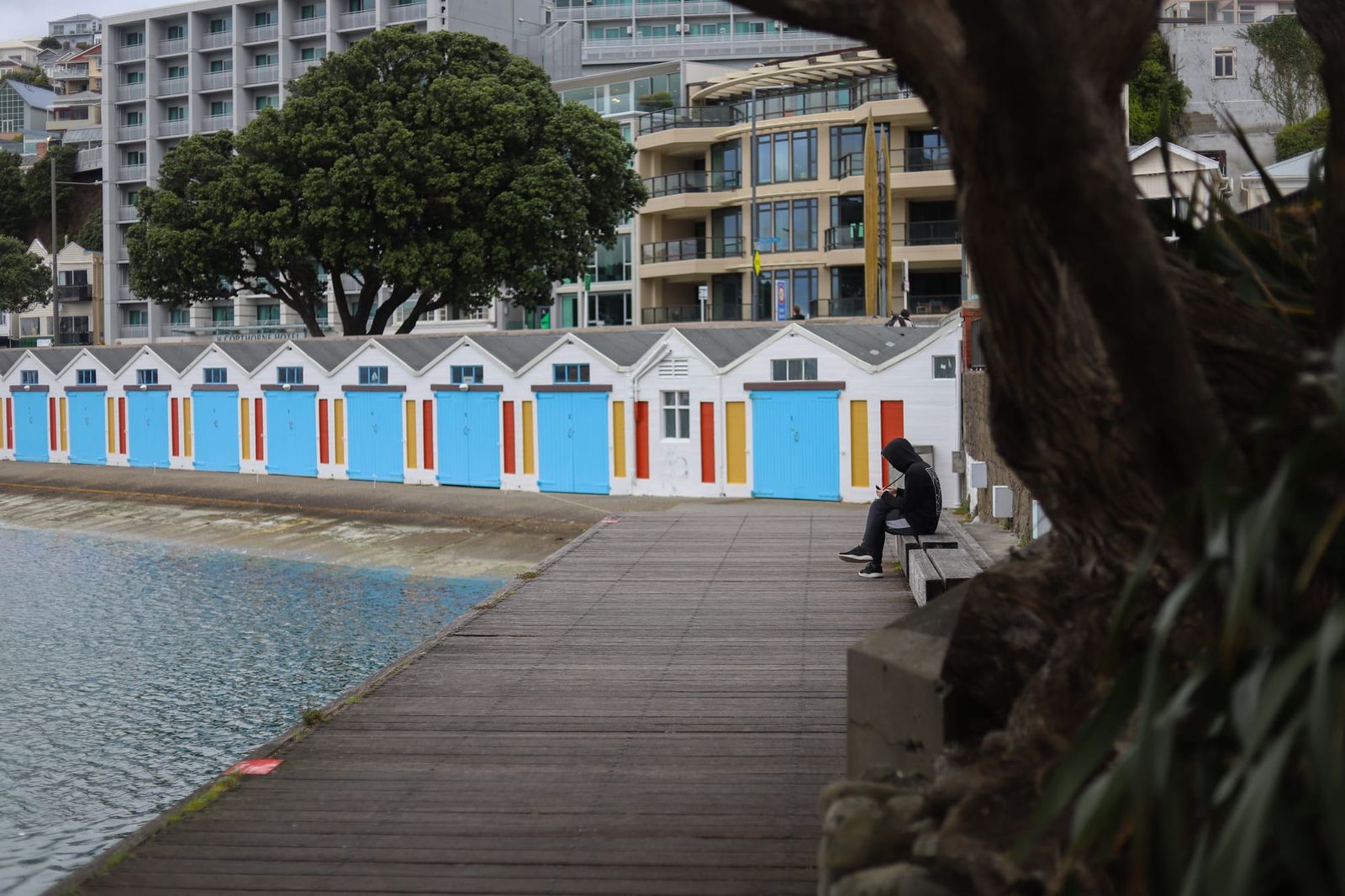 Waterfront, Wellington