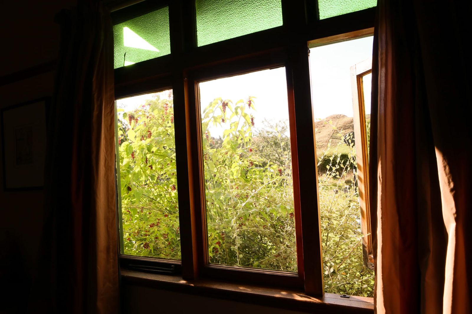 Window view with sunlight