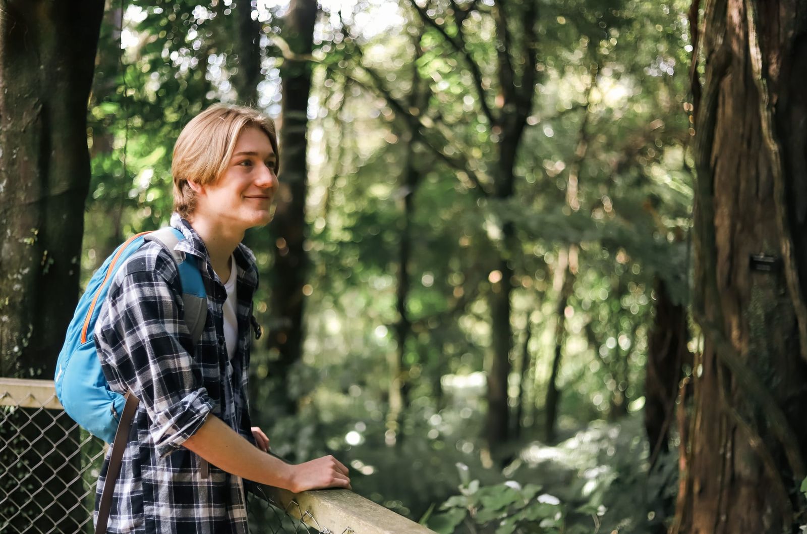 Young man in the forest