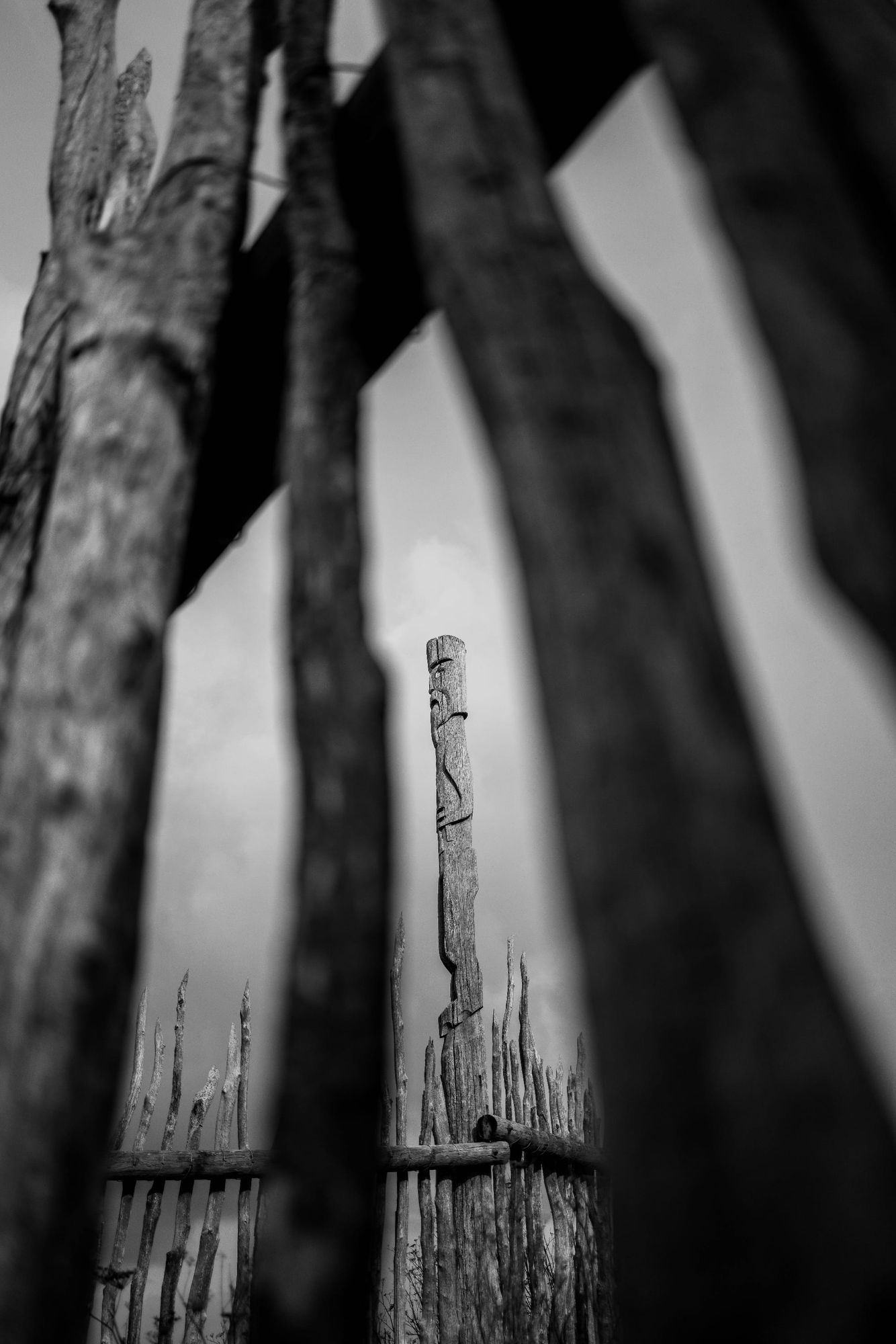 Black and white pouwhenua composition at Ōtātara Pā