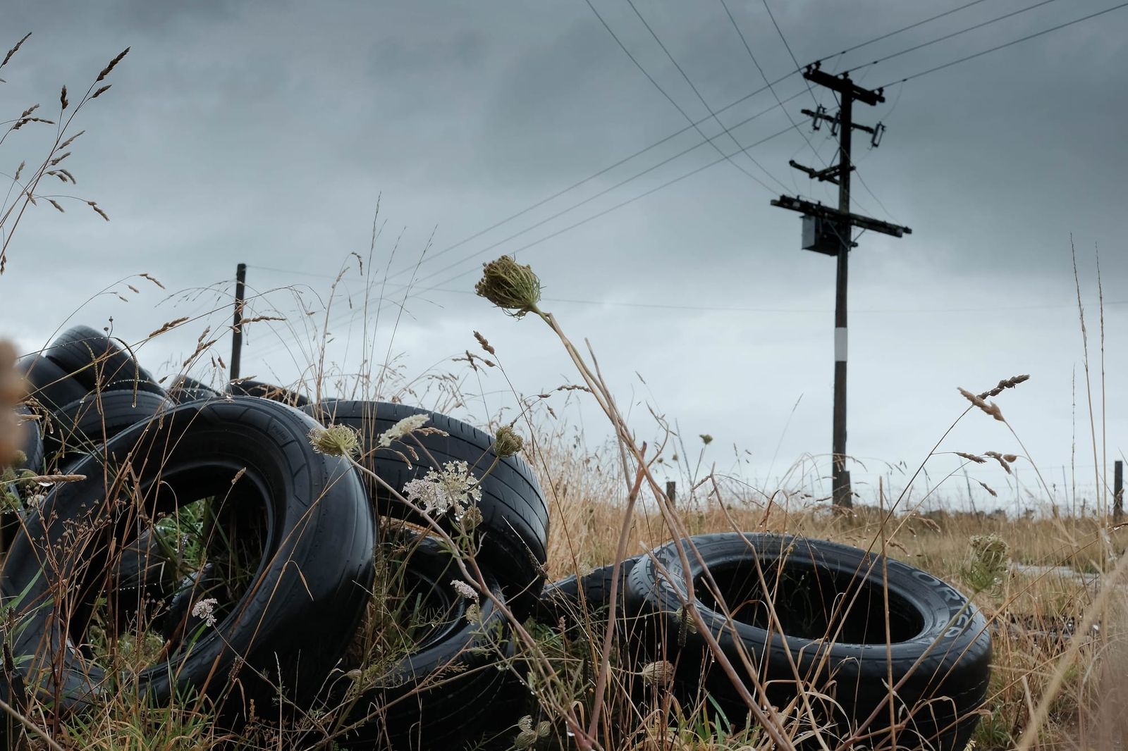 Discarded tyres in a grassy field