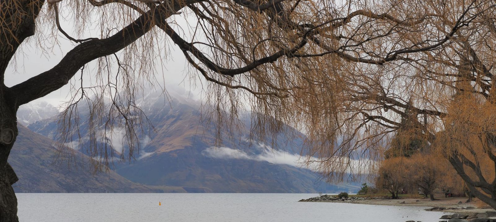 Misty lake with trees and mountain