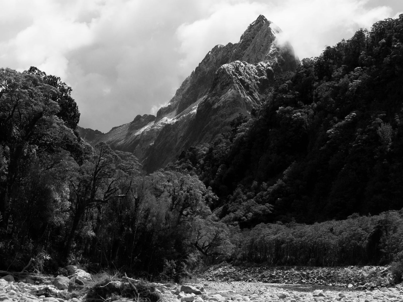 Mitre Peak from Cleddau River
