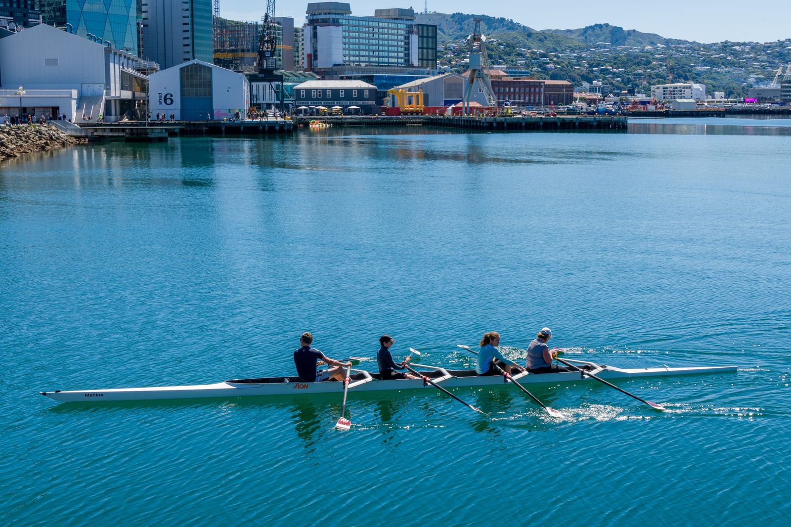 Rowers on Wellington Harbour