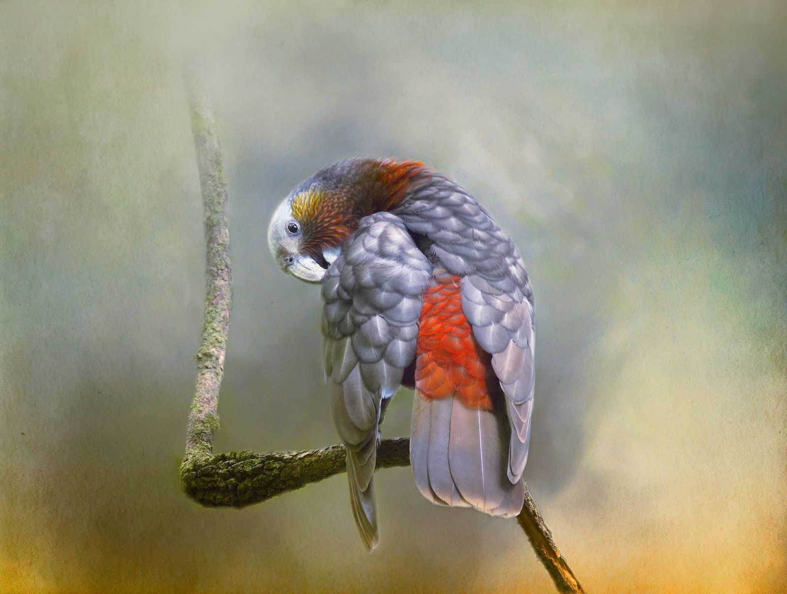 Striving for perfection