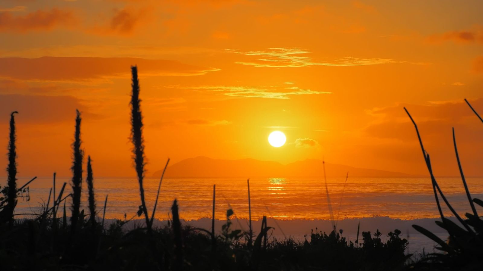 Sunrise Mayor Island