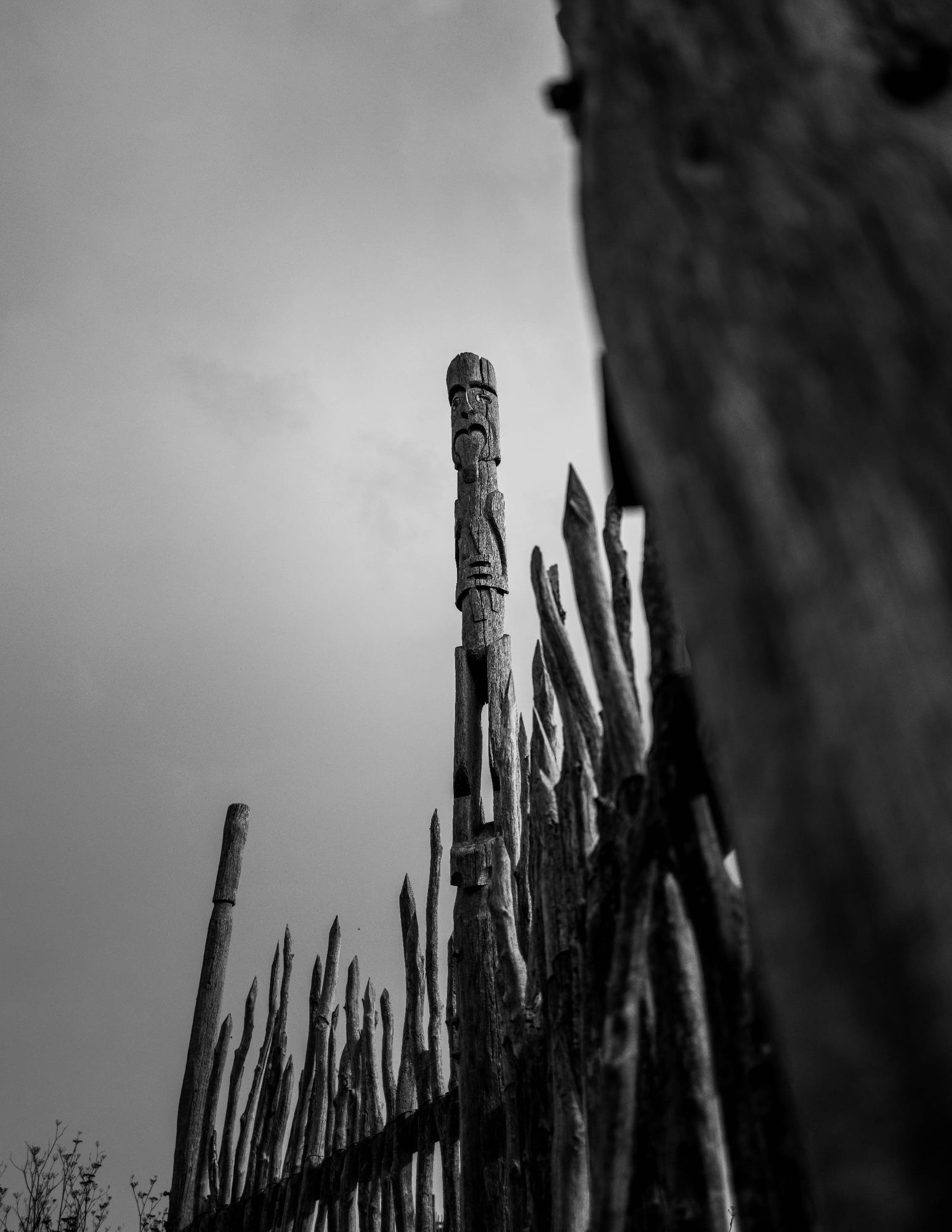 Upward view of pouwhenua at Ōtātara Pā
