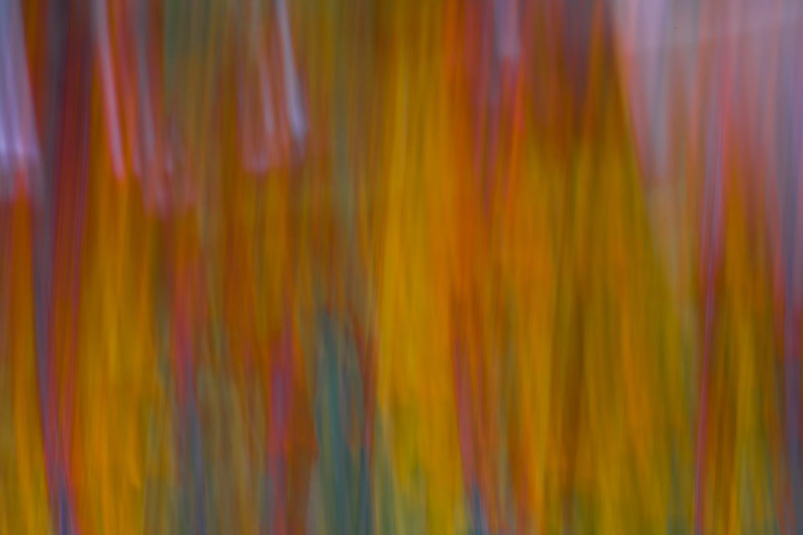 Yellow and red background