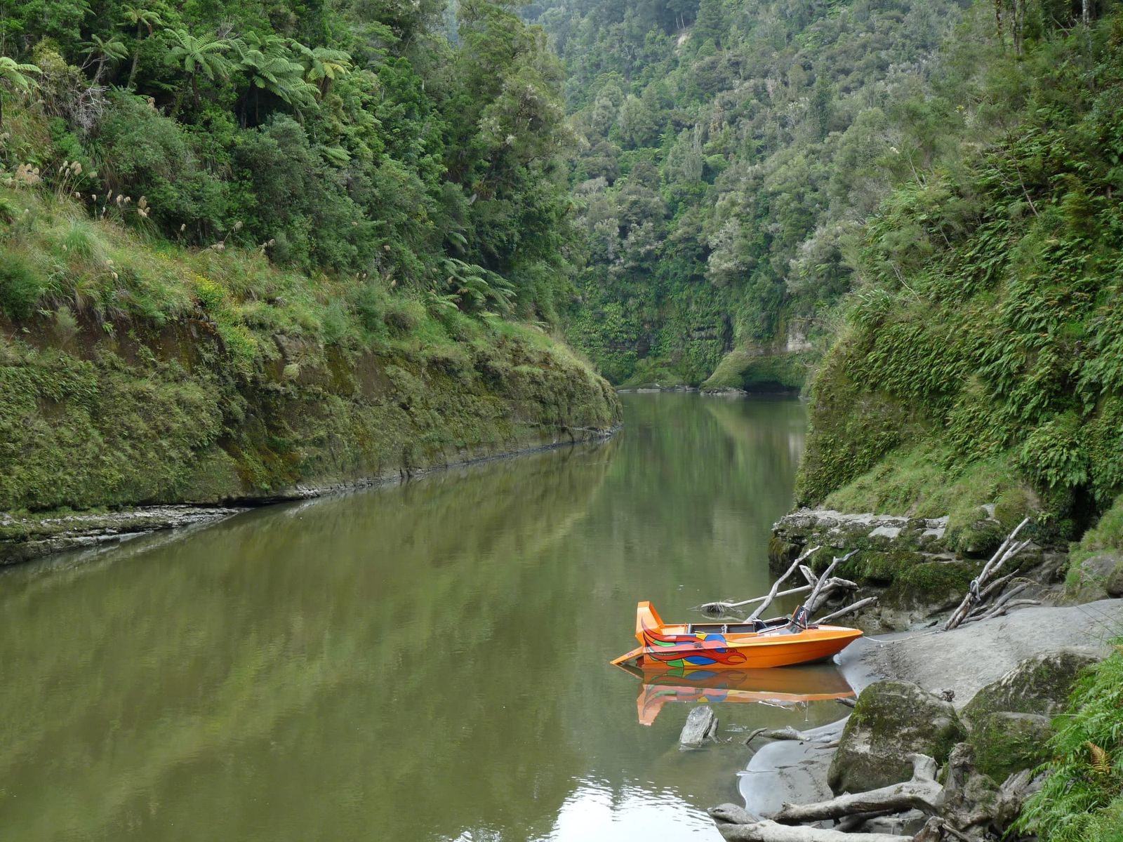 Heather Mickelson page cover image