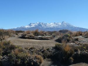 Natural growth post feature image