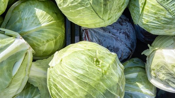 Kaalit lautaselle – näin monipuoliset terveyshyödyt eri kaalilajeista tukevat solakoitumista ja hyvinvointia