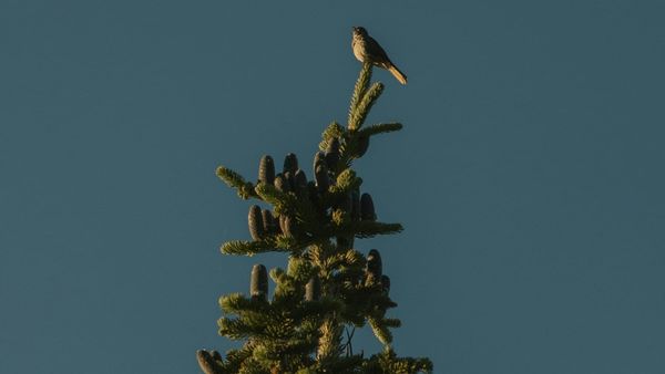 Tavoitteiden saavuttaminen ja onnistuminen – näin rakennat polun kohti pysyvää muutosta