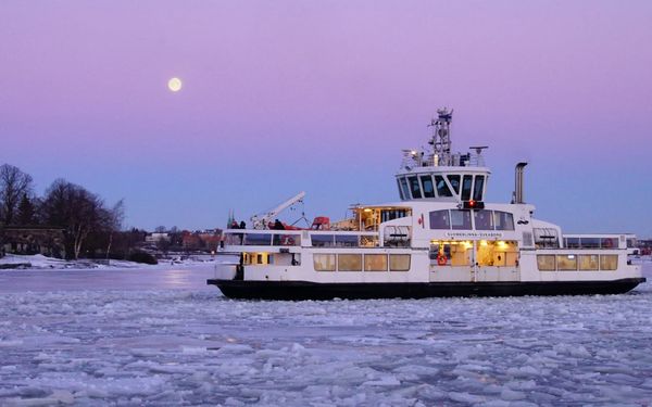 Enemmän auringonvaloa – kehon unohtunut supervoima