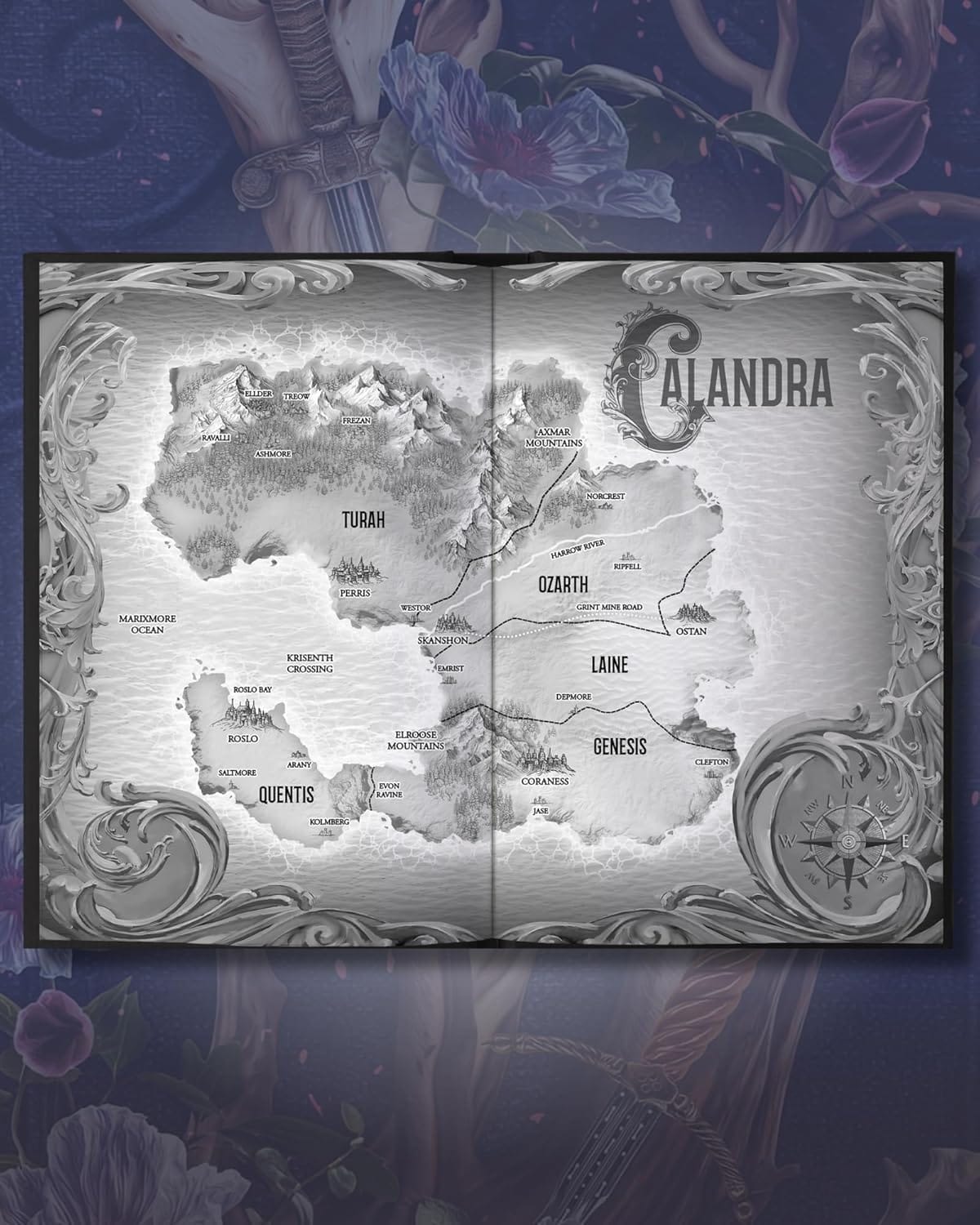 Map in the Deluxe Limited Edition of Rites of the Starling by Devney Perry