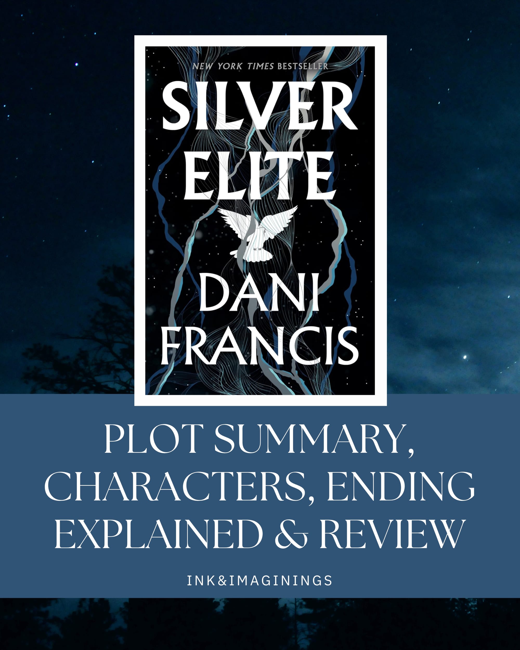 Silver Elite by Dani Francis: Plot Summary, Characters, Ending Explained & Complete Recap