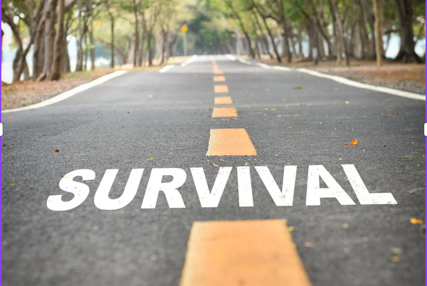 Half Term Survival Guide: Just One Thing A Day!