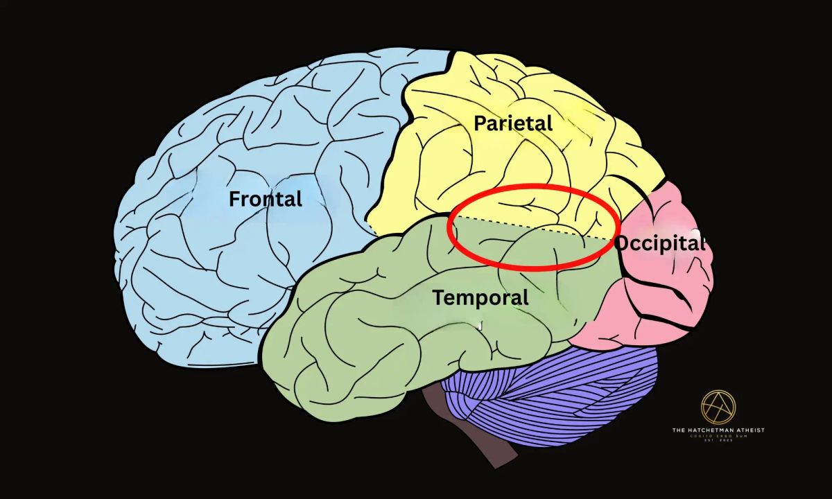 NDE's: Out-of-Body Experiences and the Sensed Presence Can Be Induced